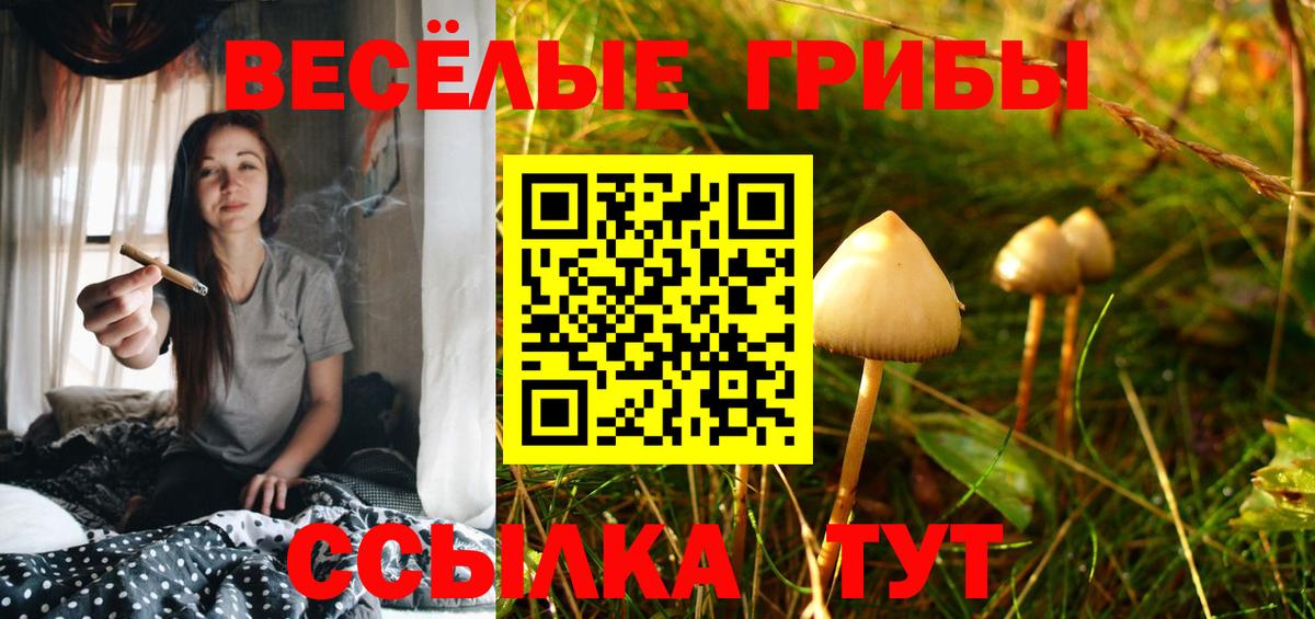 Галлюциногенные грибы ЛСД Воткинск